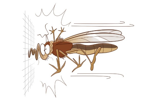 Alt=fliegengitter.org